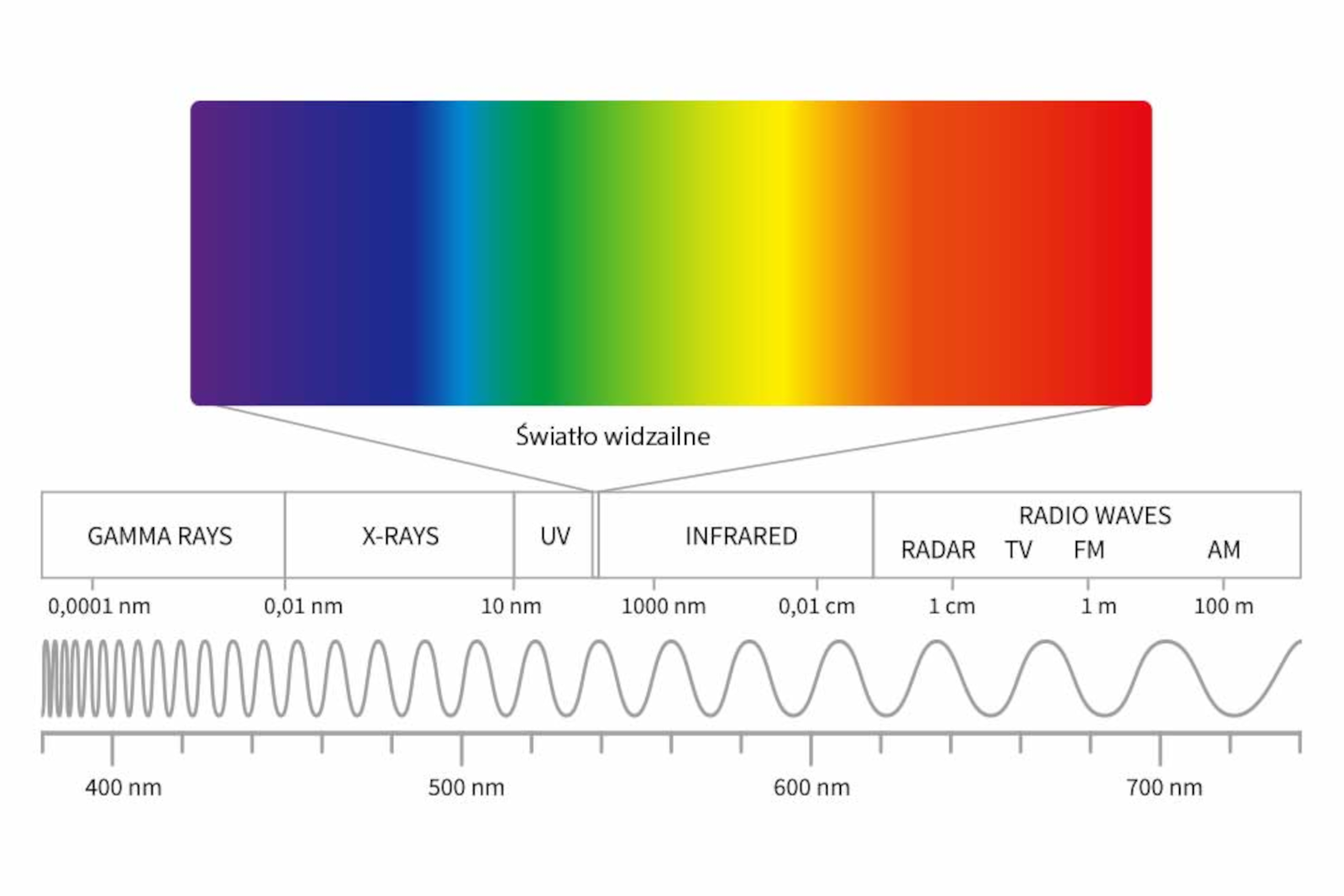 Widmo fal elektromagnetycznych z zakresami długości fal i powiększonym pasmem światła widzialnego 400–700 nm.

